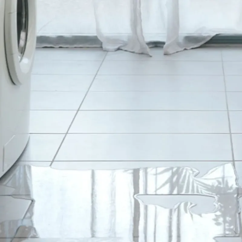 Appliance Leak Cleanup in Kelso, WA