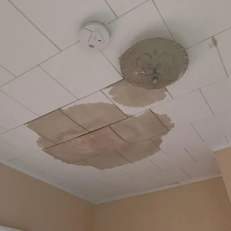 Ceiling Water Damage Repair in Kelso, WA